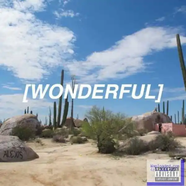 Travis Scott - Wonderful